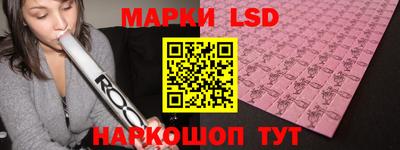 индика Кандалакша