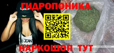 индика Кандалакша