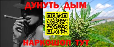 индика Кандалакша