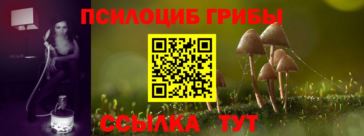 Псилоцибиновые грибы Cubensis  Галлюциногенные грибы GOLDEN TEACHER  Вход с VPN  Лабинск 